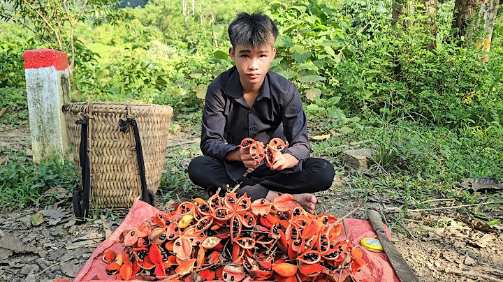 The homeless boy and the poor girl went alone to pick wild fruits to sell for money to buy things.
