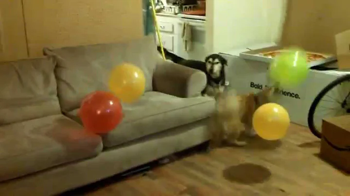 Birthday fun!