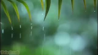 Relaxing Sleep Music with Rain Sounds / Meditation Music, Stress Relief, Relaxing Music