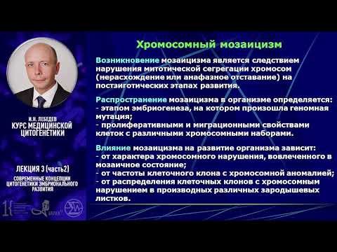 Видео: Каковы причины анафазного движения?