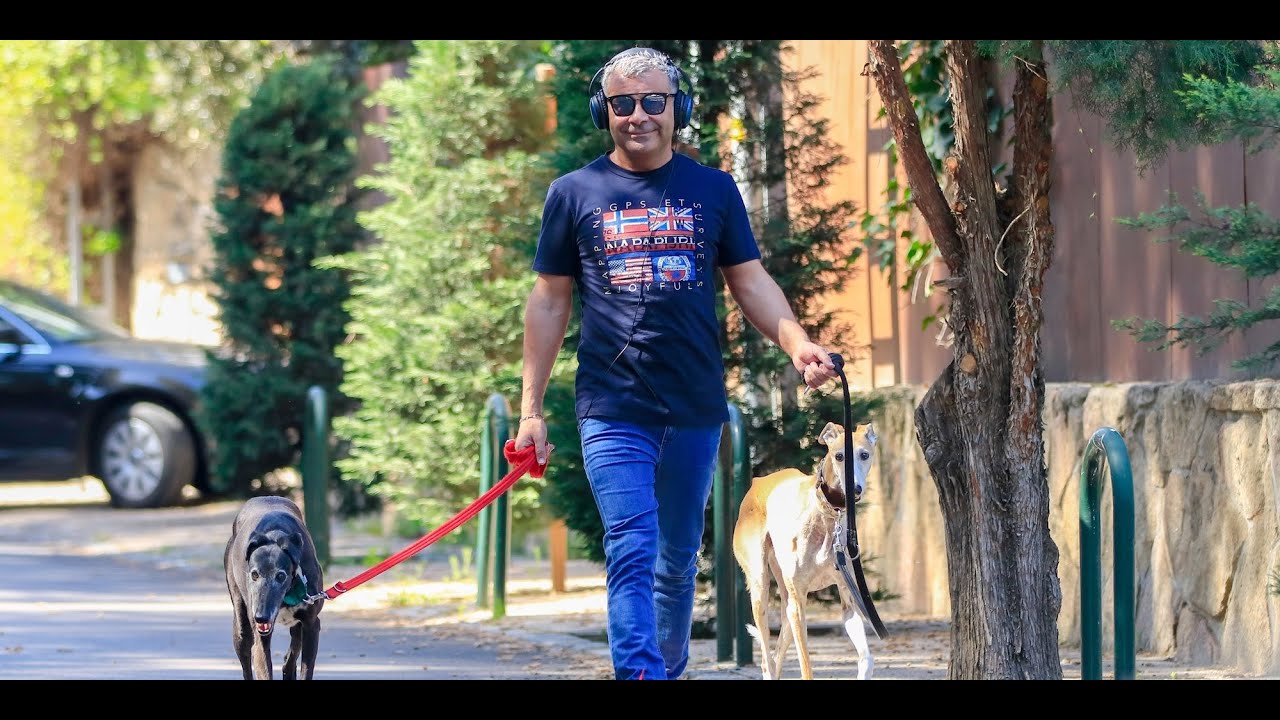 Paseos tranquilos con sus perros y su madre: Así está siendo el reposo de Jorge... summit racing