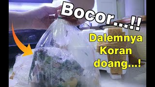 Unboxing Beli Palmas Albino,Delhezi & Senegalus Online