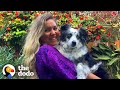 Stolen Dog Is Reunited With His Mom After Months Apart | The Dodo