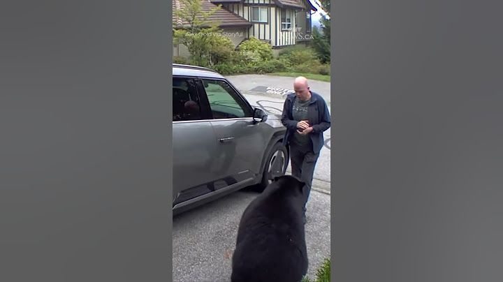 B.C. man has very close encounter with black bear