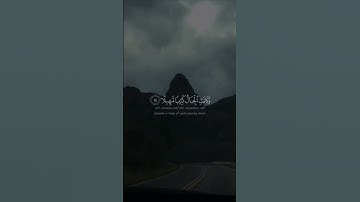 .«واصبر على ما يقولون» - سورة المزمل #قران #quran #قران_كريم #القران #قرآن #القرآن #ماهرالمعيقلي