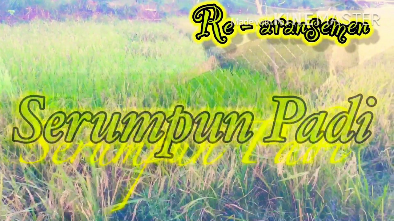 SERUMPUN PADI - re aransemen [gitar tremolo] by ViS - YouTube