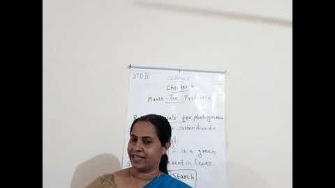 CLASS  4  / SCIENCE  / Experiment to show that plants need sunlight for Photosynthesis