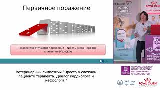 Хроническая болезнь почек у кошек. Диагностика, терапия, ведение пациента. Рекомендации IRIS