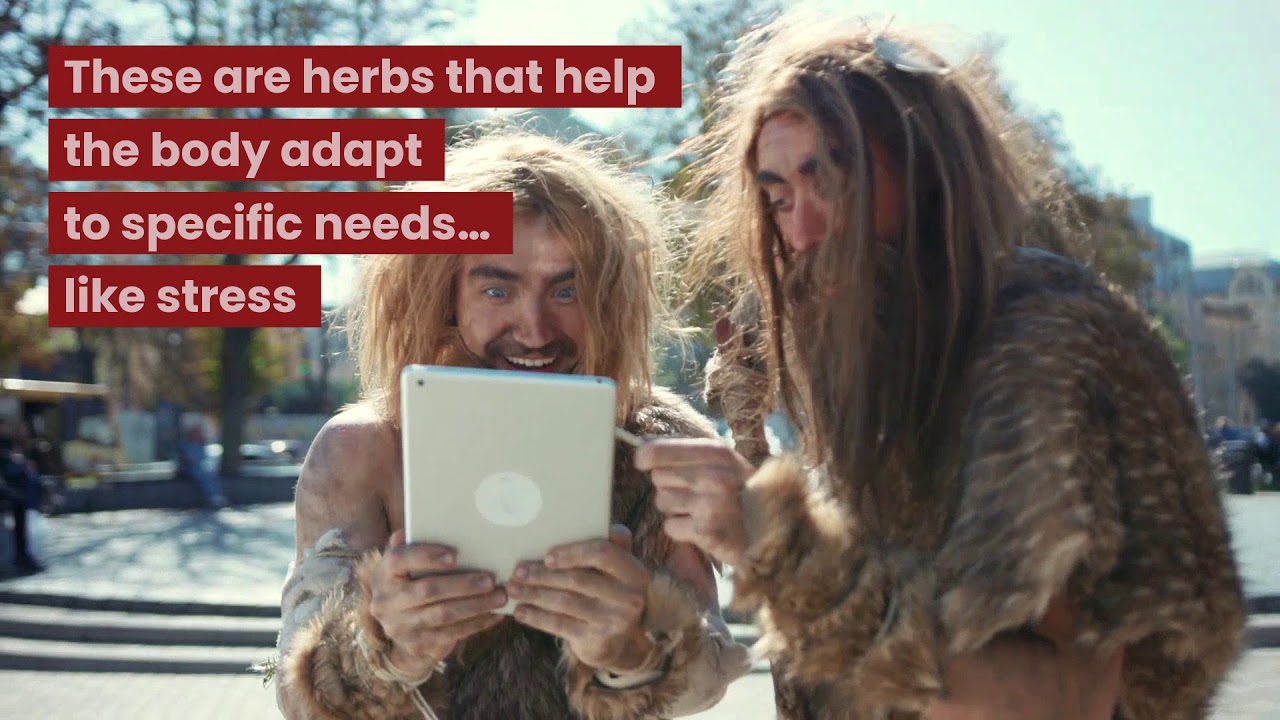 Quantum Stress Support