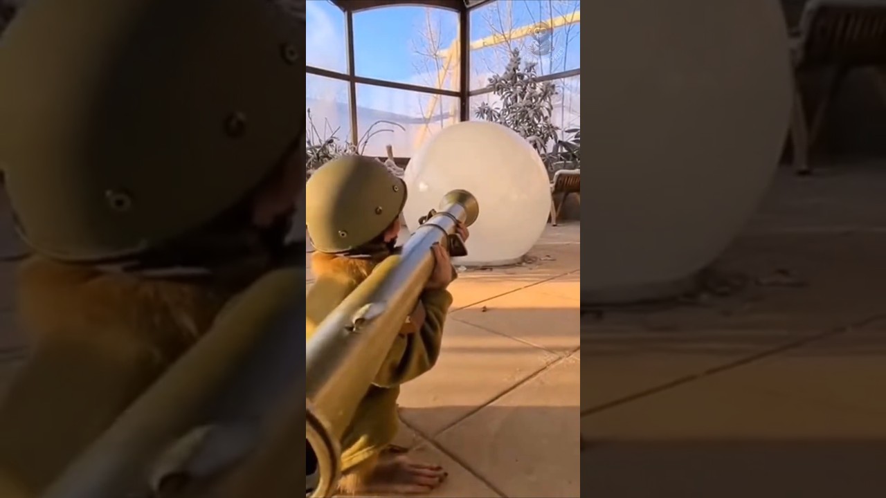 Baby Monkey vs Mysterious Ice Sphere 🧊👀 