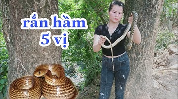 Rắn hầm xã ,đu đủ,củ cải trắng nấm đậu phộng ngon cả quên lối về-Ẩm thực dân dã miền tây-Hanh Vlog