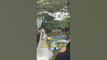 Quang Hải bất ngờ khi Chu Thanh Huyền thông báo có con trai đầu lòng ở ngày cưới #showbiz #quanghai