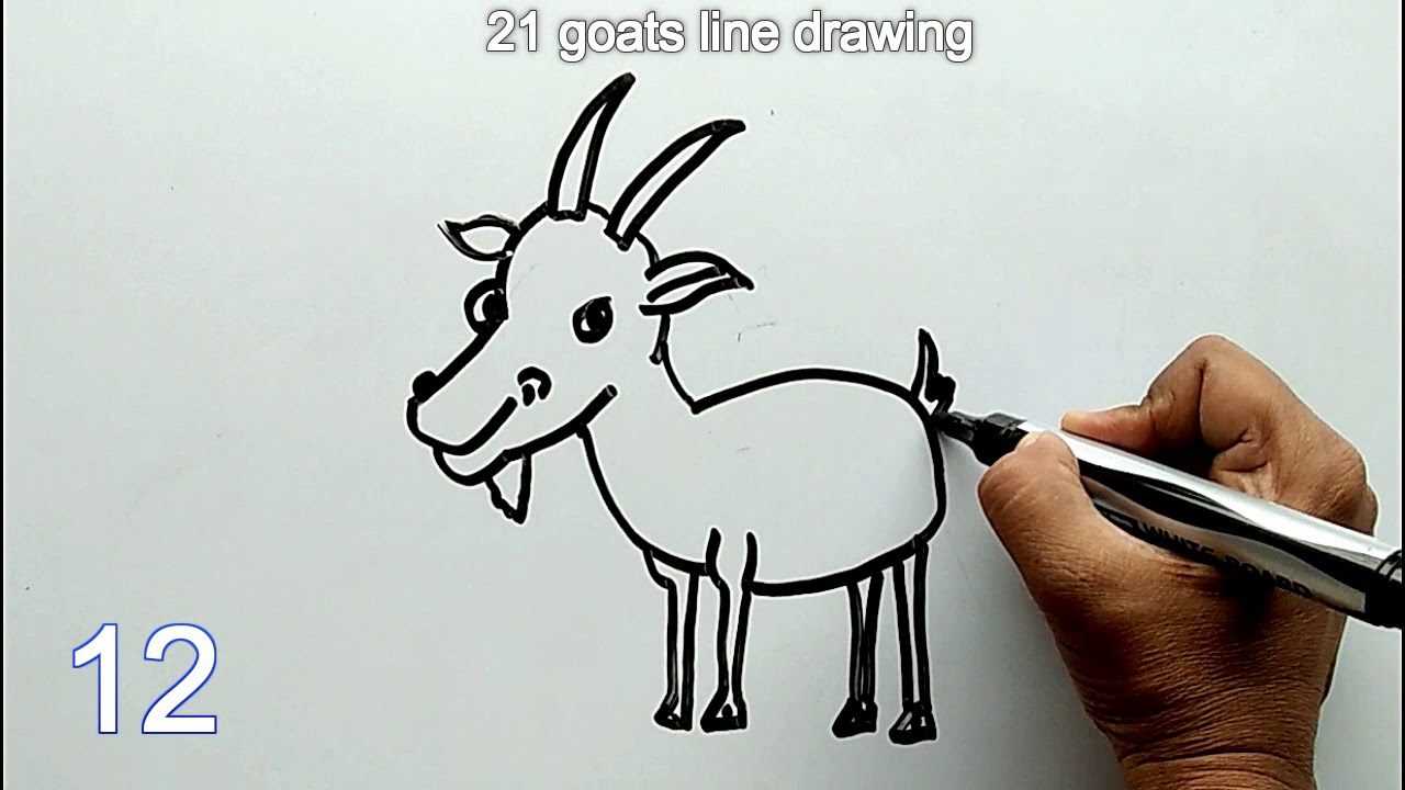 21 goats line drawing | How to draw a goat easily