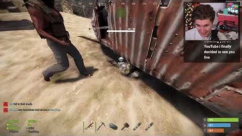 Ludwig lands on lily