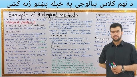 Example of Biological Method class 9 | Solving biological problem 1 | What is the cause of malaria