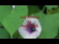 Just Because by Keith Battle ジャストビコーズ(キース=バトル)