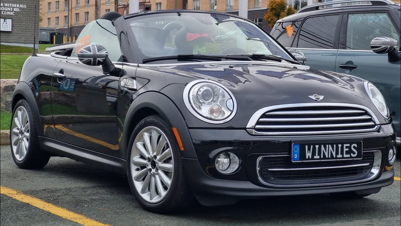 Mini Takes St. John's, October 26, 2024