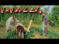 Donkey ko kiya ho giya | Donkey riding | Mumtaz Village Fashion