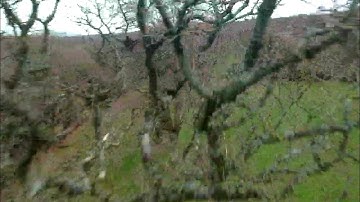 DJI Spark CRASH and repair