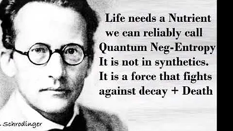 Complimentarity  Quantum theory  in Biology is a b...