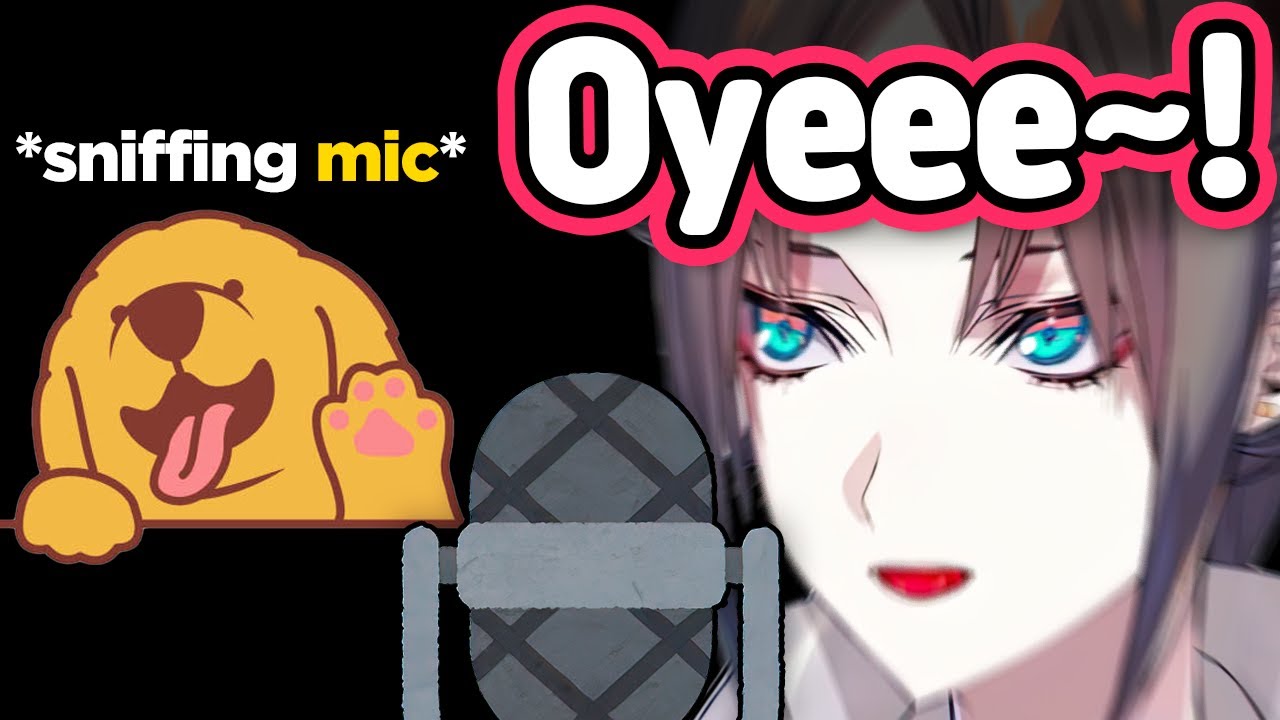 Mysta's dog suddenly appeared during his stream