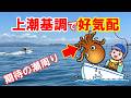 【見逃し厳禁】上潮基調でタコ釣りチャンス到来!?明石・神戸沖最新状況