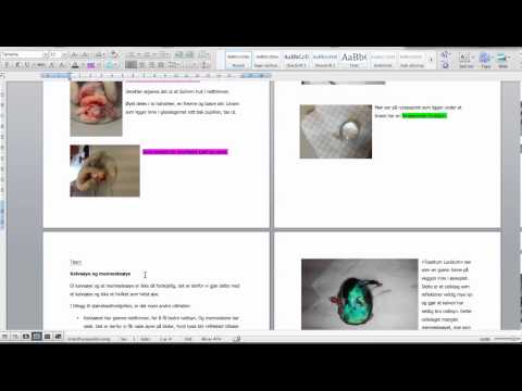 Elevens lab-rapport brukt som eksempeltekst i naturfag