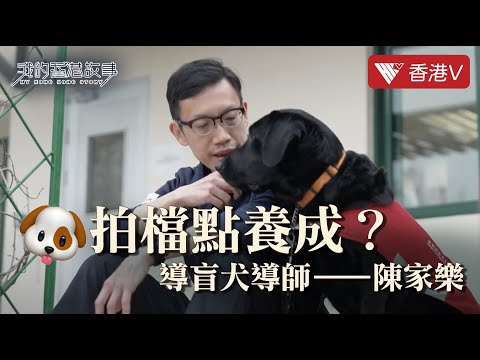 拍檔養成記——導盲犬導師 陳家樂｜我的香港故事 #香港v