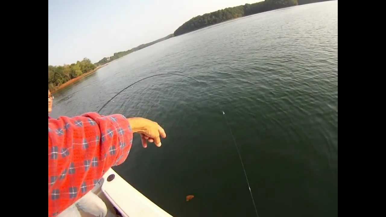 Timsford stripper Kenny YouTube