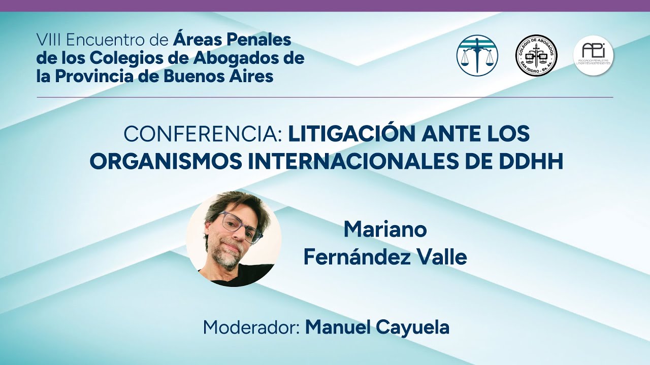 VIII Encuentro Áreas Penales - Conferencia: Litigación ante los organismos internacionales de DDHH.