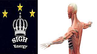 Celebrity Musculoskeletal EXTREMELY POWERFUL!!! (Energetically Programmed) Profile