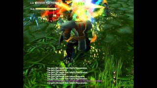 windfury bug.wmv
