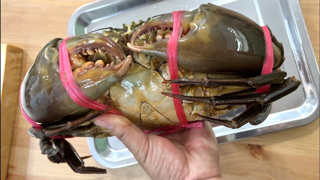 This is what happens when you give a huge Mud crab to a