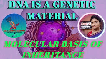 DNA IS A GENETIC MATERIAL | GENETIC MATERIAL | MOLECULAR BASIS OF INHERITANCE