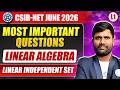 Linearly Independent Set | Linear Algebra | CSIR NET Jun 2026 | IFAS