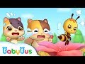 Baby Kitten, Be Careful Of Little Honeybee | Kids Safety Tips | Play Safe Song | Kids Song | BabyBus