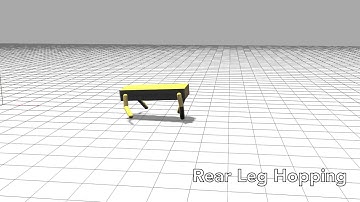 Evolved Muscle Model and ANN Gaits