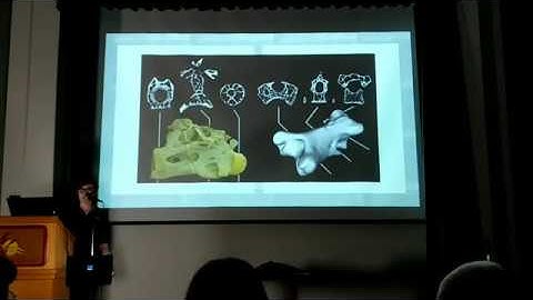 Jurassic Lark: Why Birds Are Dinosaurs