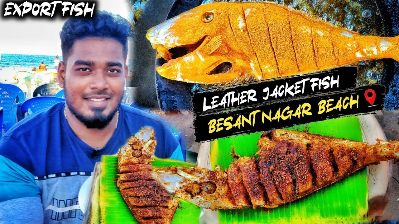 LEATHER JACKET FISH FRY AVAILABLE IN CHENNAI ONLY ONE SHOP