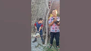 لما تعمل ترند الرنب والبطه نطط نطه الف أرنب Comedy هتضحك Funny كوميديات اكسبلور 