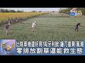 比除草機還好用?匈牙利掀「鐮刀復興」風潮　零排放割草還能救生態｜FOCUS午間新聞 20260805 @tvbsfocus