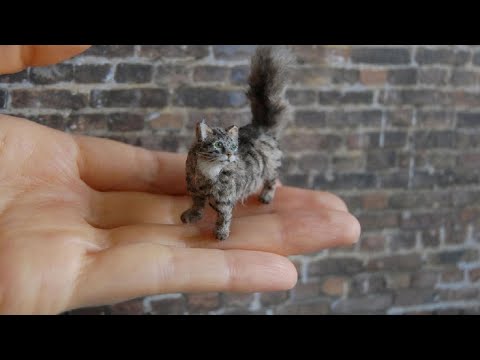 7 Raças De Gatos Miniaturas Que Não Vai Acreditar Que Existem