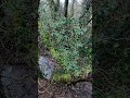 Living Outside & Happy 🖖🏕️