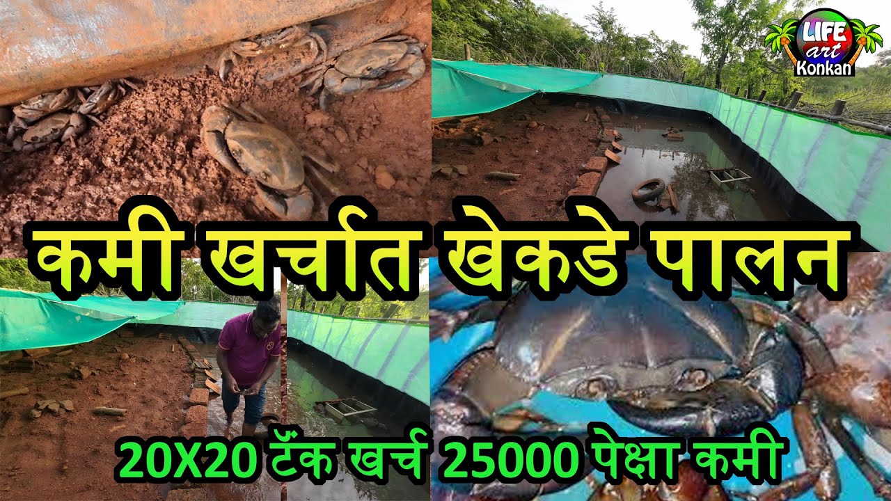 कमी खर्चात खेकडे पालन,20X20 टॅंक खर्च 25000/- पेक्षा कमी,कोकणातला एक जोड धंद्याचा अप्रतिम उपक्रम 