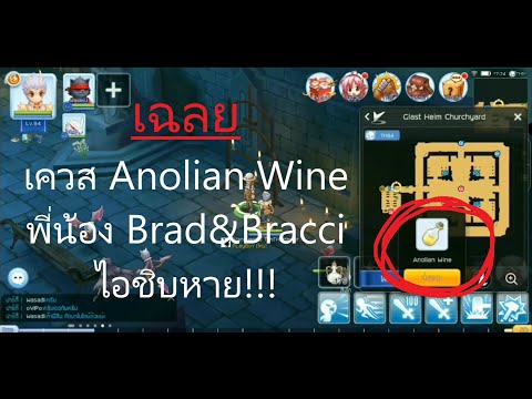 เควส Anolian Wine พี่น้อง Brad&Bracci Ragnarok M