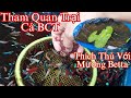 Tham Quan Trại Cá BCT - Và Mương Betta Đầy  Thích Thú