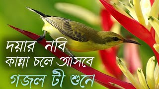 দয়ার নবী আছেন শুইয়া মদিনার ঐ দেশে| Doyar Nobi Achen Suiya | New Islamic Song |  Gojol