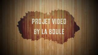 projet video la boule.