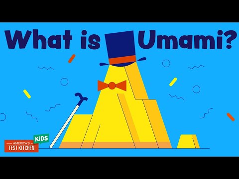 What Is Umami? 