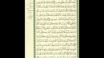 الورد اليومى سورة إبراهيم من الاية 19 الى الاية 24 بصوت القارئ الشيخ ماهر المعيقلى #ماهر_المعيقلي